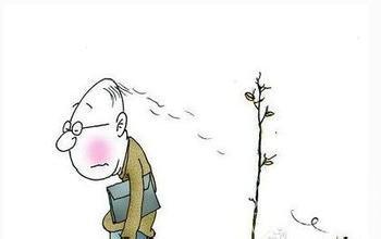 脱发图片