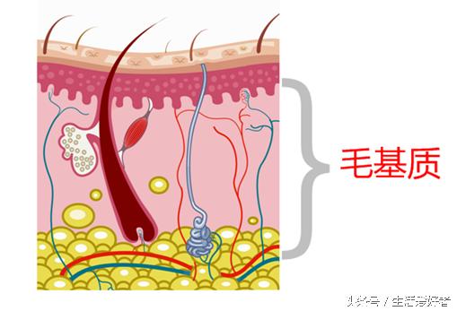 防脱生发前沿科技。要想效果好，还是方法最重要！